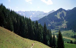 Blick zum Nebelhorn