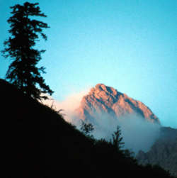 Morgensone