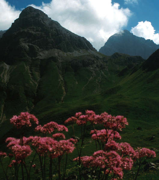 Muttlerkopf und Krottenkopf.