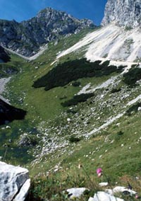 Hochtal am Gimpel